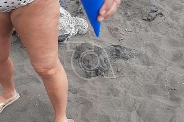 La Avenida Las Delicias, un foco de contagio en La Garita/TA.